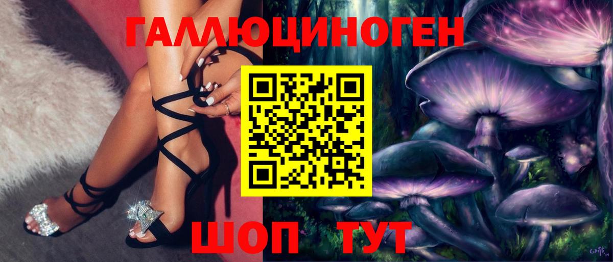 продажа наркотиков  Псилоцибиновые грибы ЛСД  Камень-на-Оби  Вход с VPN  Псилоцибиновые грибы мицелий 