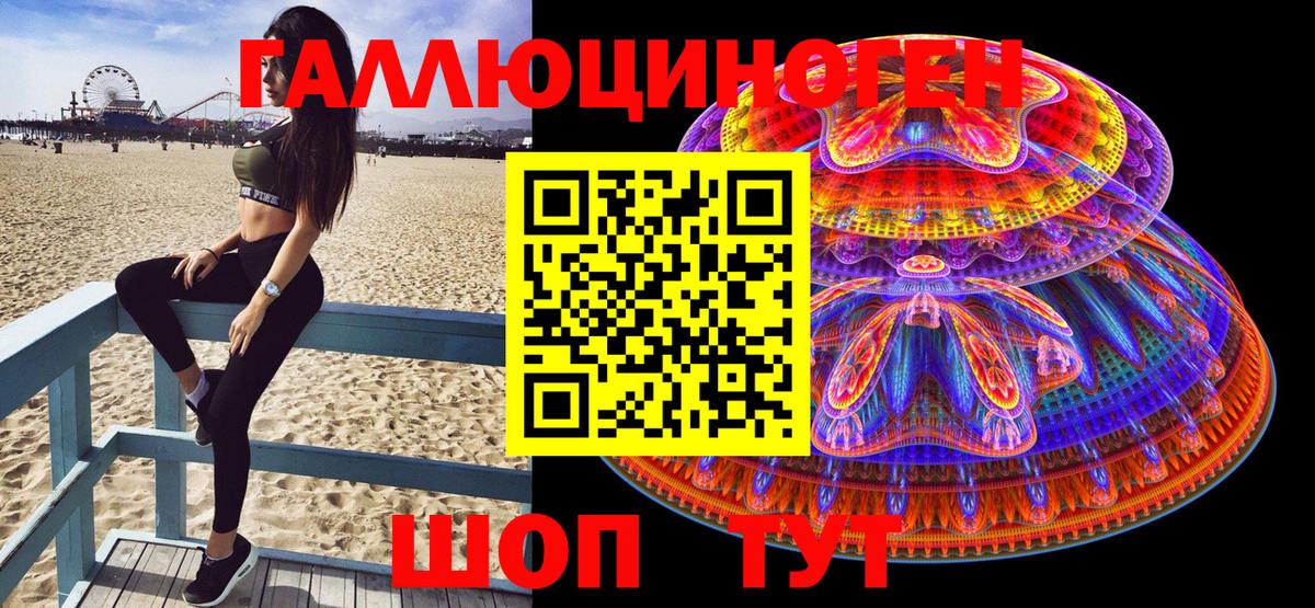Псилоцибиновые грибы прущие грибы Камень-на-Оби